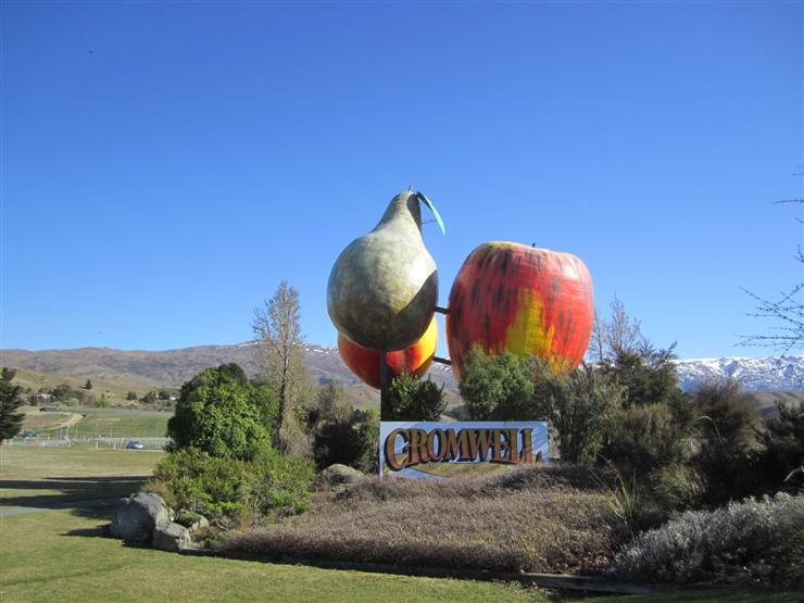 Cromwell. The first of many stops on the long journey from Queenstown to Kaikoura.No explanation whatsoever for the giant fruit sculpture