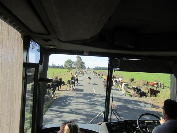 Total gridlock!