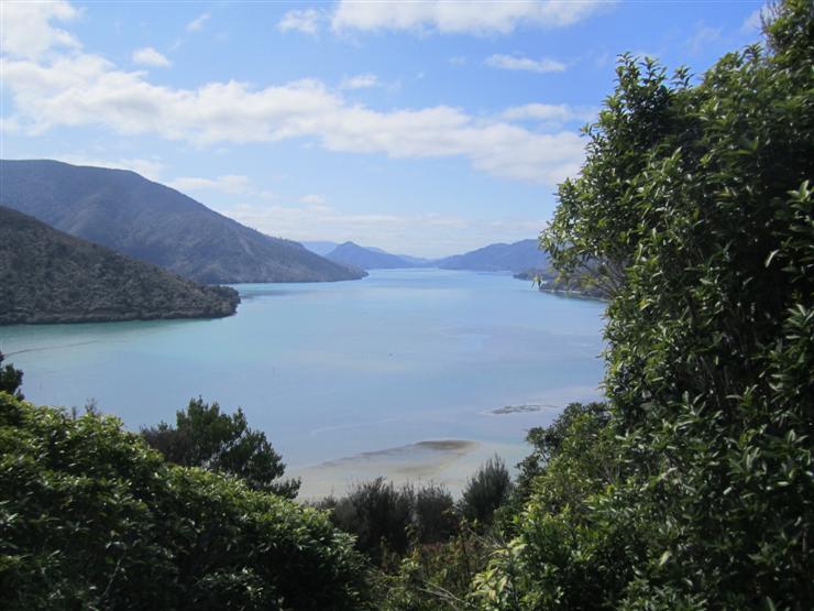 View north towards Cook Strait