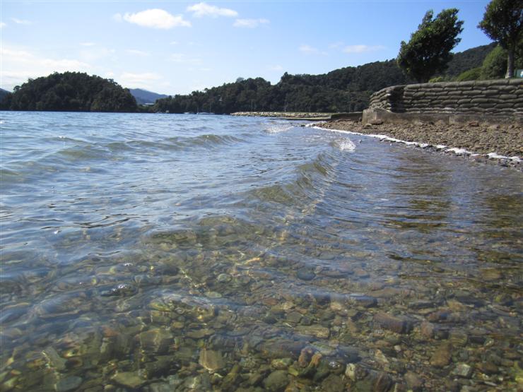 Ngakuta Bay, along Queen Charlotte Drive