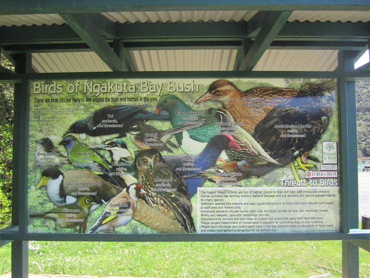More birds