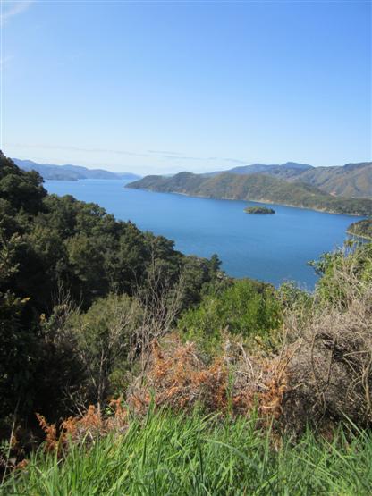 Another view of the Sounds