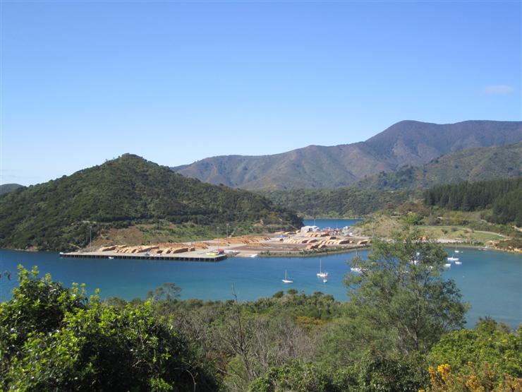 Evidence of the logging industry at Shakespeare Bay