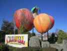 How do you like them apples? The far side of the fruit