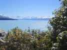 Lake Pukaki with vegetation