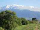 The view from the hostel in Kaikoura which is called….