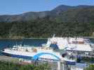 Picton. Competing ferry companies