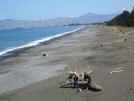Cloudy Bay. Sounds familiar?